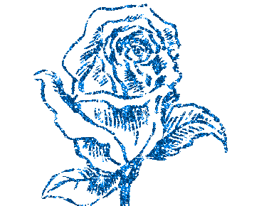 blue rose